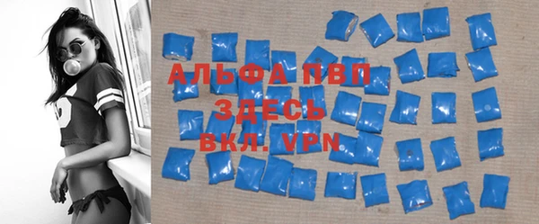 индика Армянск